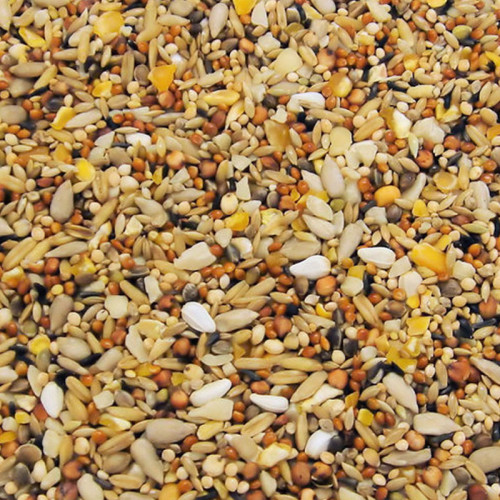 Colonel's Supreme High Energy Dengie Horse Feeds EquiBox